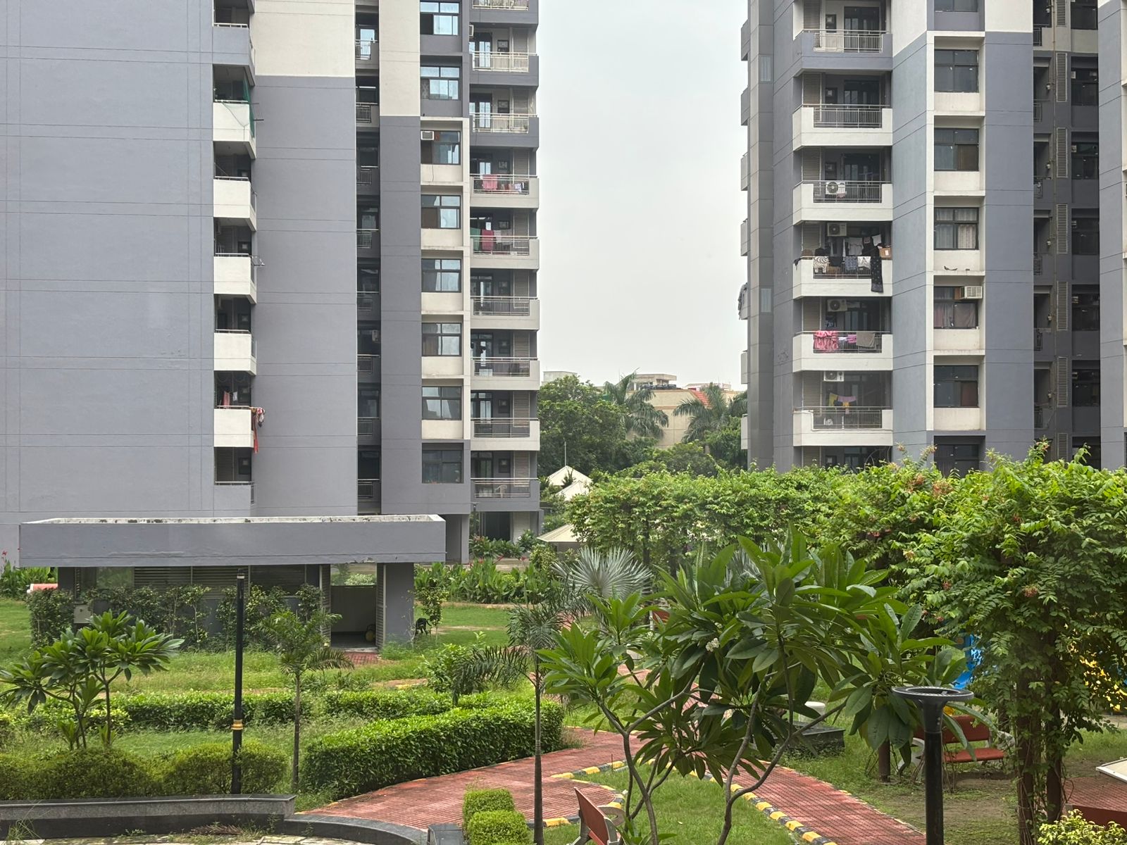 3 BHK Flat for Sale in Sector - Chi Phi